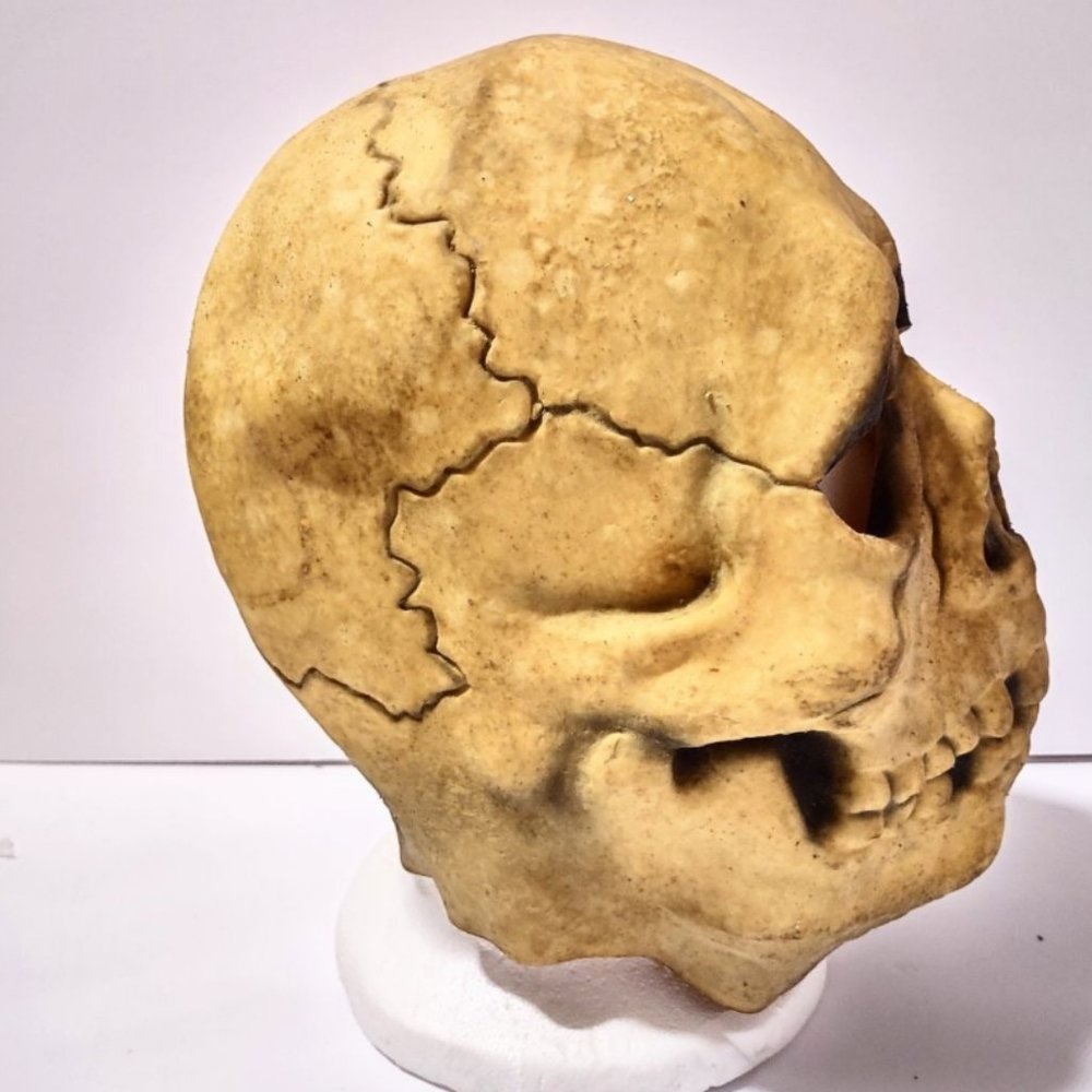 Vintage DON POST RARE Glow In Dark SKULL